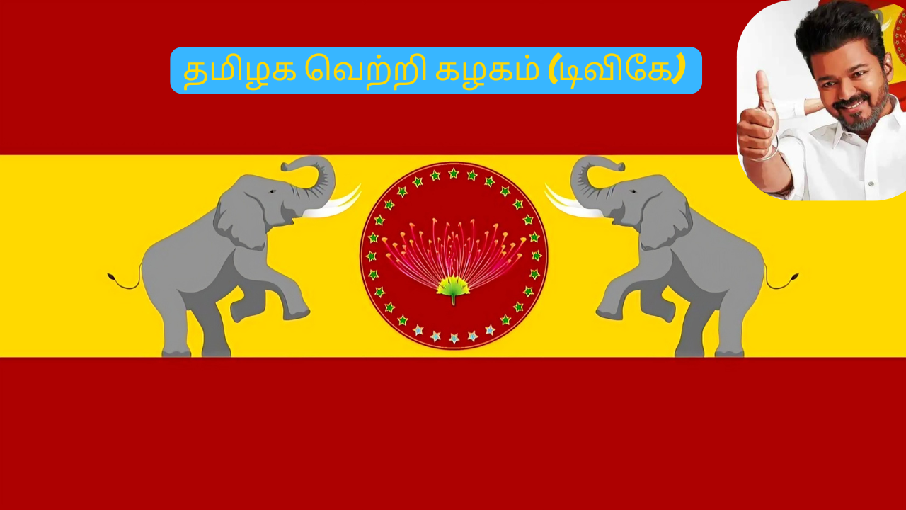 tvk flag